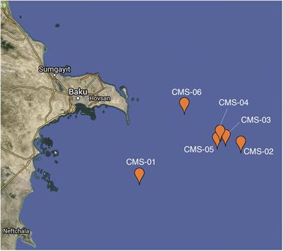 Oil Hydrocarbon Degradation by Caspian Sea Microbial Communities